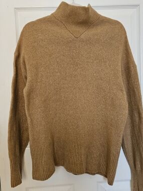 Everlane Camel Turtleneck Sweater